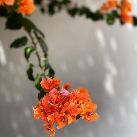 The Killians Boutique Hotel Kochi Luaran gambar