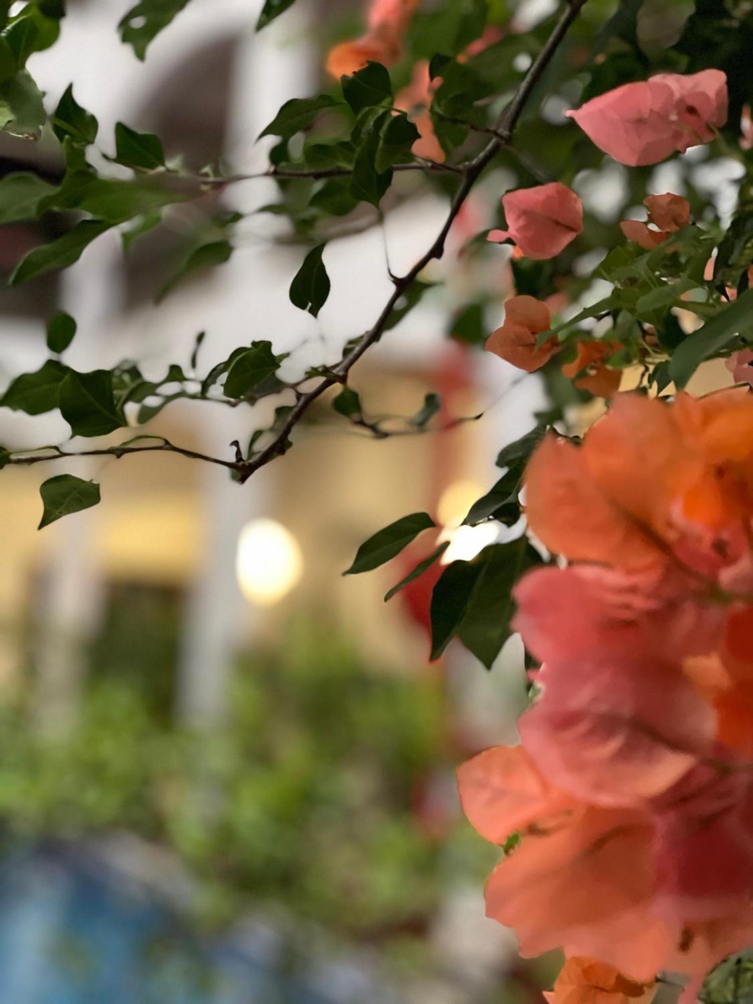 The Killians Boutique Hotel Kochi Luaran gambar